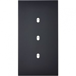 Placa del interruptor...