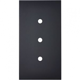 Placa de interrutor...