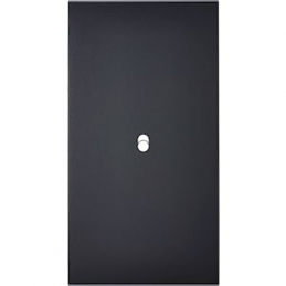 Placa del interruptor...