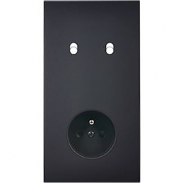 Switch plate Confidence...