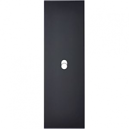 Placa de interrutor...