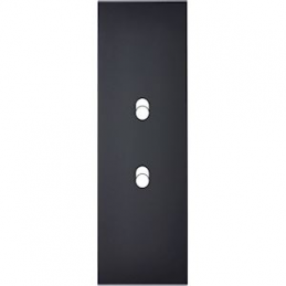 Placa de interrutor...