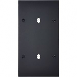 Placa del interruptor...