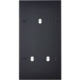 Placa del interruptor...