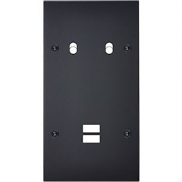 Placa del interruptor...