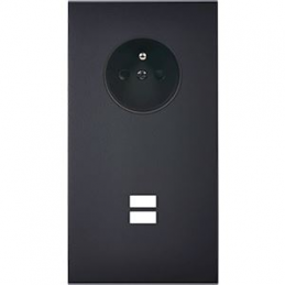 Placa del interruptor...