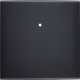 Placa de interrutor...