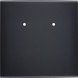 Switch plate Confidence...