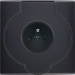 Placa del interruptor...