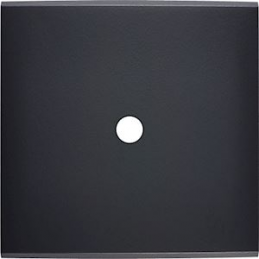 Placa de interrutor...