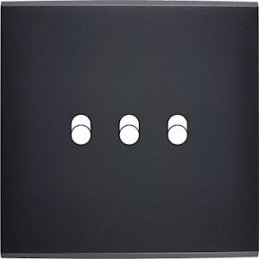 Placa de interrutor...