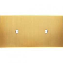 Placa de interrutor...