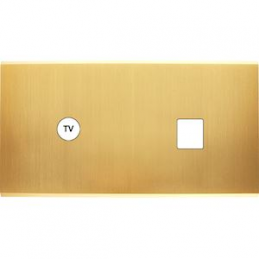 Placa de interrutor...