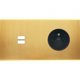 Placa del interruptor...