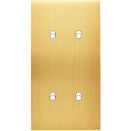 Placa de interrutor...