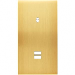 Façade Confidence laiton...