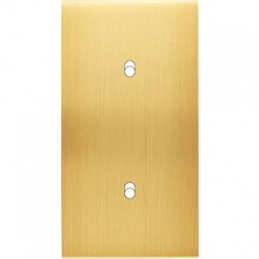 Placa de interrutor...