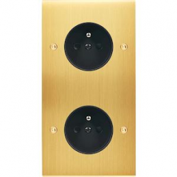 Placa del interruptor...