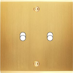 Façade Confidence Laiton...