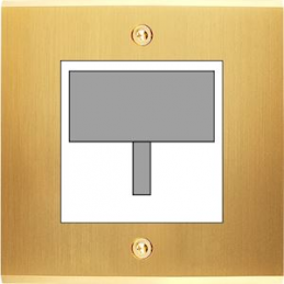 Switch plate Confidence...