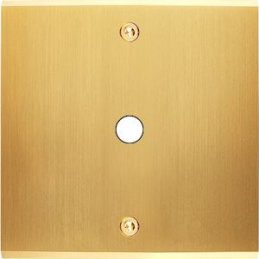 Placa del interruptor...