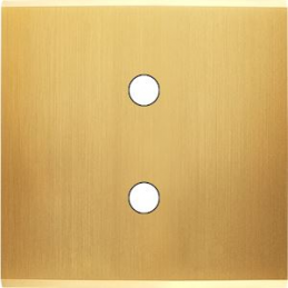 Switch plate Confidence...