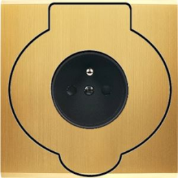 Placa del interruptor...