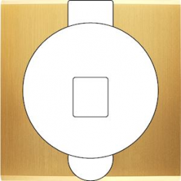 Switch plate Confidence...