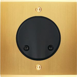 Placa del interruptor...