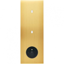 Placa de interrutor...