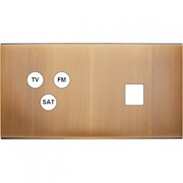 Placa del interruptor...