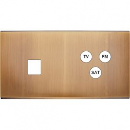 Placa del interruptor...