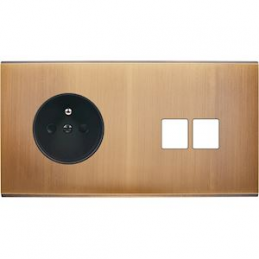 Placa del interruptor...