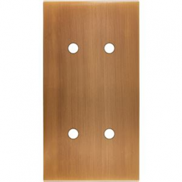 Placa del interruptor...