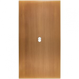 Façade Confidence laiton...