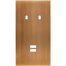 Placa de interrutor...