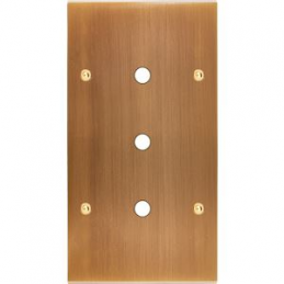 Placa del interruptor...