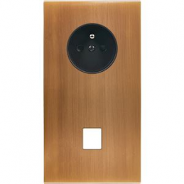 Placa de interrutor...