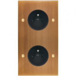 Placa del interruptor...