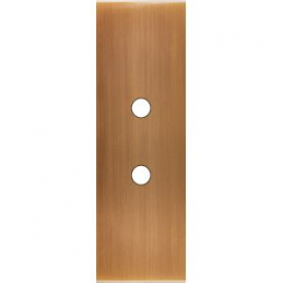 Placa de interrutor...