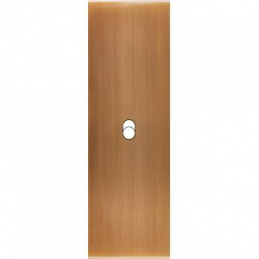 Placa del interruptor...