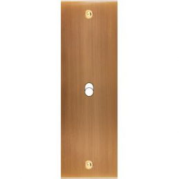 Placa de interrutor...