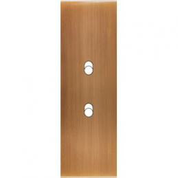 Placa de interrutor...