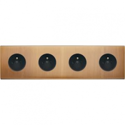 Placa del interruptor...