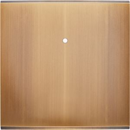 Switch plate Confidence...