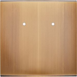 Placa de interrutor...