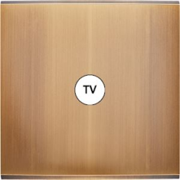 Switch plate Confidence...