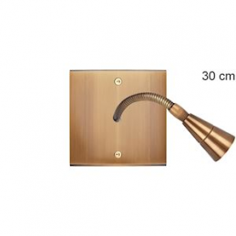 Placa del interruptor...