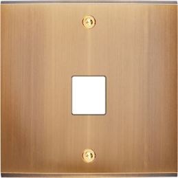 Placa de interrutor...