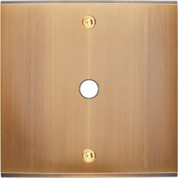 Placa de interrutor...